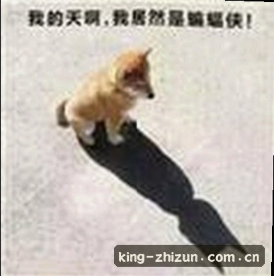 张猛